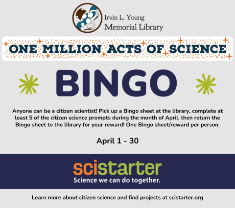 bingo