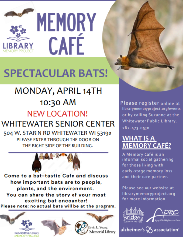 bat (animal)